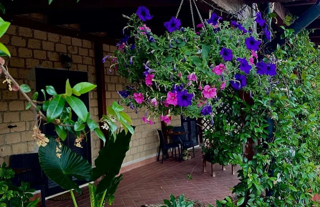 Agriturismo Antiglia-1